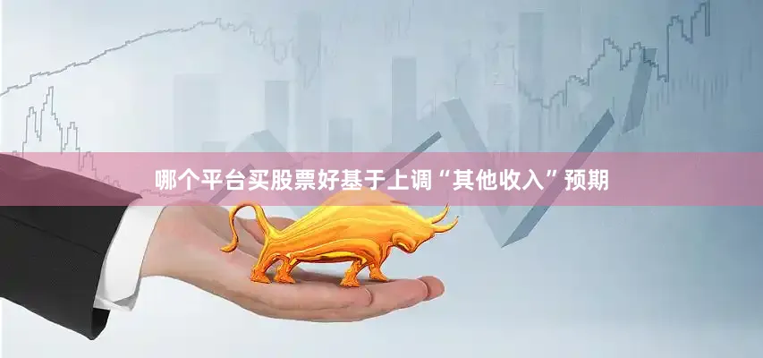 哪个平台买股票好基于上调“其他收入”预期