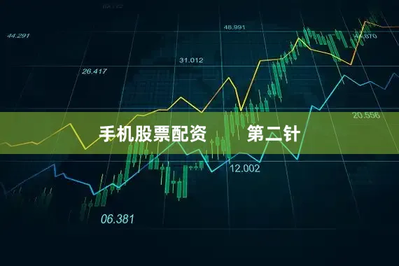 手机股票配资        第二针